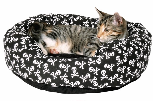 skull cat bed