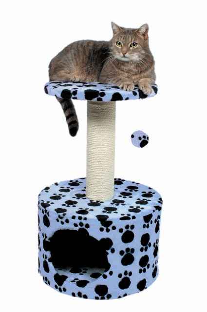 funky cat scratching post