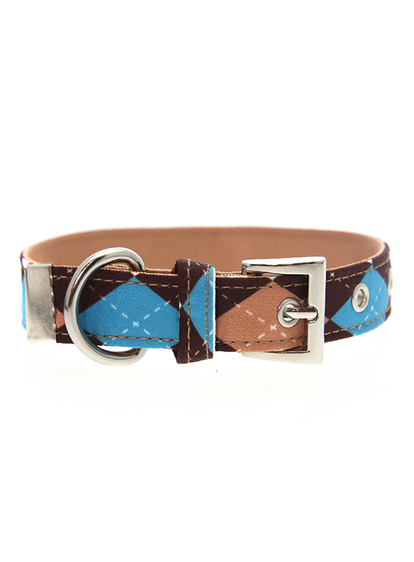 Brown and Blue Argyle collar