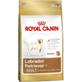 royal canin labrador retreiver food