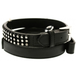 Black Leather Collar and Lead