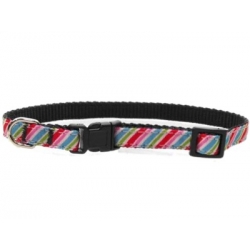 Brighton Stripe Dog Collar