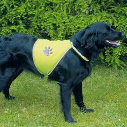 Dog Safety Waistcoat