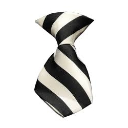 Dog Neck Tie White