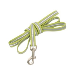 lime green reflective dog lead