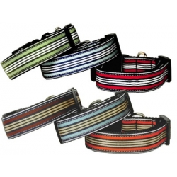 Prepp Strip dog collar