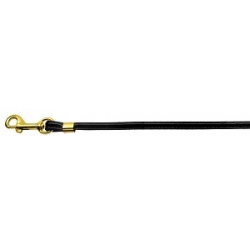 Johnny Black Leash