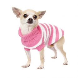 dog jumper