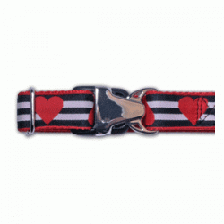 hearts dog collar