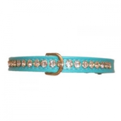 turquoise diamante dog collar