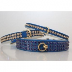 blue diamante dog collar