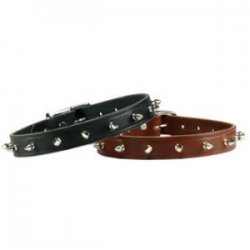 leather spike dog collar