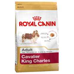 Royal canin cavalier king charles