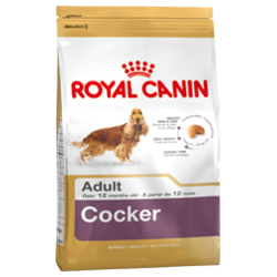 royal canin cocker spaniel food