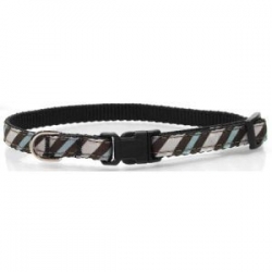 Blue Zebra Dog Collar