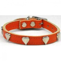 Orangeleather dog collar