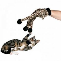 cat toy glove