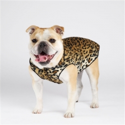 dogs fleece