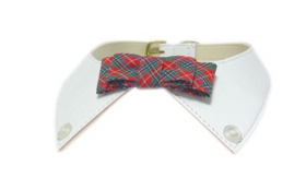 dog bow tie