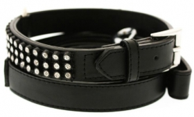 Black Leather Collar and Lead