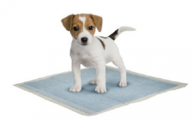 puppy training pads