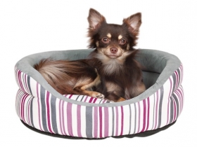 pink stripe dogs cushion