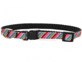 Brighton Stripe Dog Collar