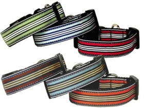 Prepp Strip dog collar