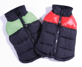 Padded Zipper Jacket