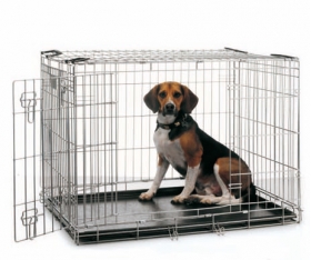 dog crate