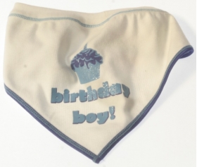 Birthday Boy Bandana