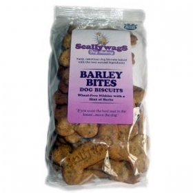 healthy dog treat
