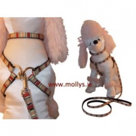 red stripe small dog harness