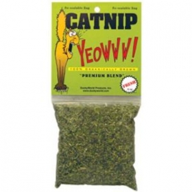 cat nip