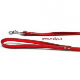 red leather dog lead