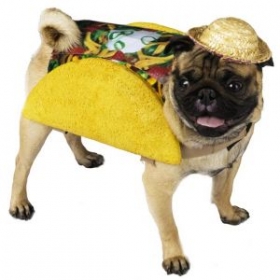 taco dog costume