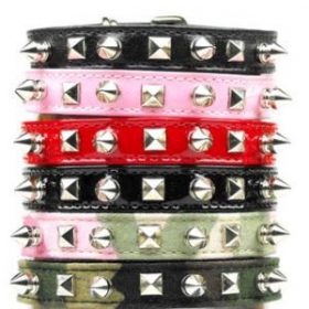 spike dog collar