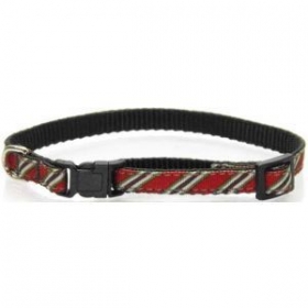 Red Collegiate Collar