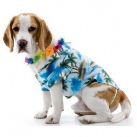 hawaiian dogs costume