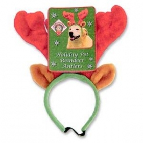 dogs reindeer antlers