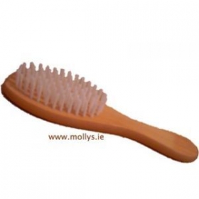 bristle brush