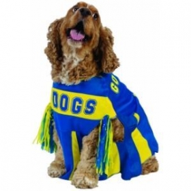 cheerleader costume