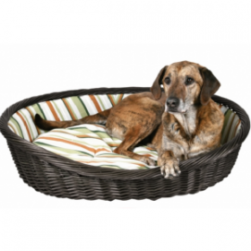 wicker dog basket