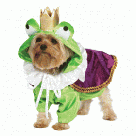 froggy doggy costume