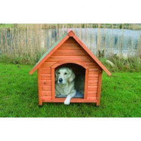 wooden dogs kennel