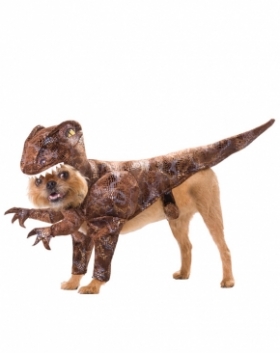 Animal Planet Raptor Dog Costume