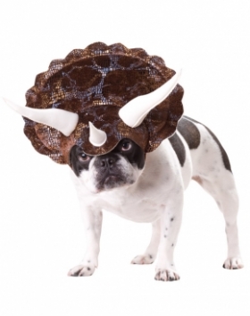 Animal_Planet™_Triceratops_Dog_Costume