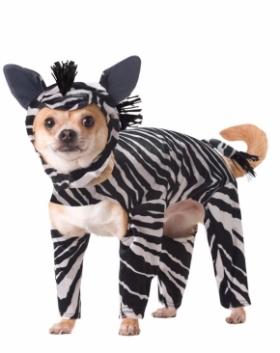 Animal_Planet™_Zebra_Dog_Costume
