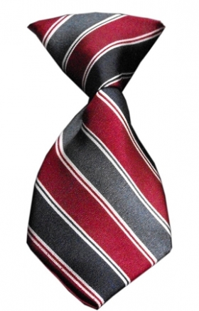 Dog Neck Tie Classic