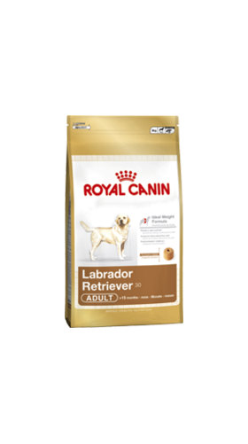 royal canin labrador retreiver food